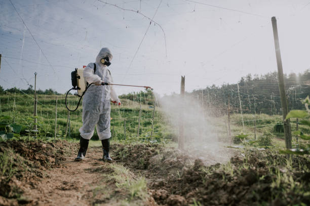 Best Pest Prevention Services  in Sands Point, NY