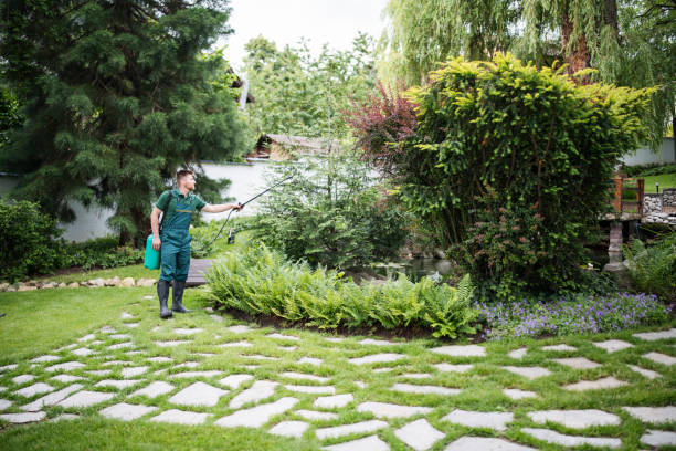Best Local Pest Control Services  in Sands Point, NY