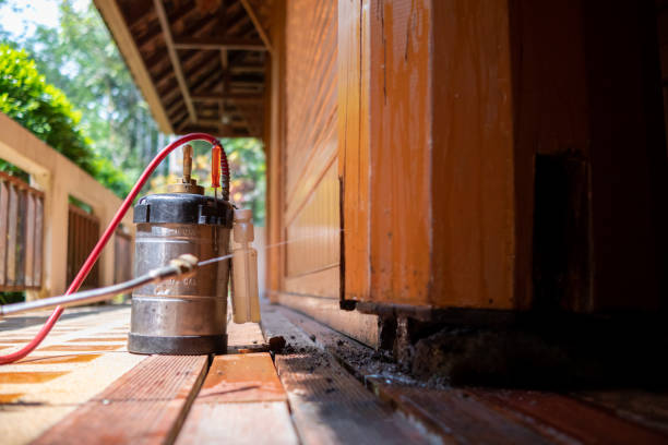 Best Wasp Removal Services  in Sands Point, NY